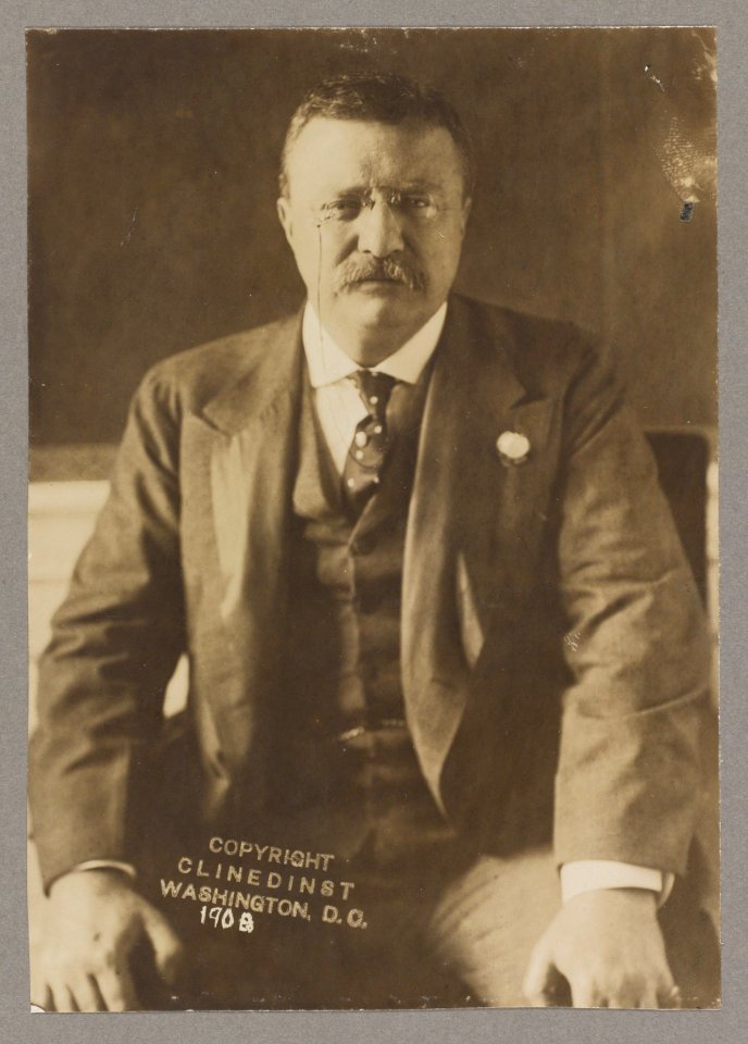 Theodore Roosevelt, half-length portrait, seated with hands on knees, facing front LCCN2013649826