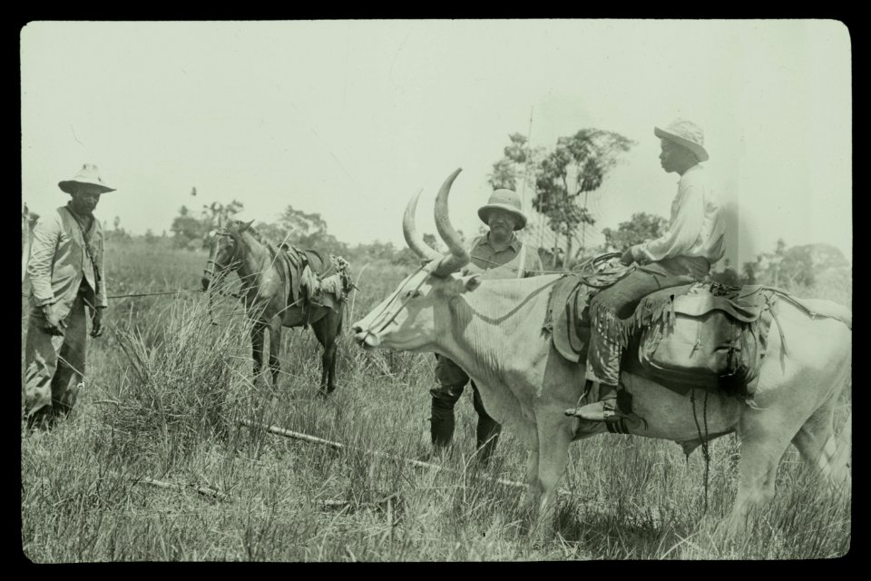 Theodore Roosevelt, 1858-1919; lantern slide of Roosevelt's Brazil expedition, 1913, taken by his son Kermit LCCN2006689854