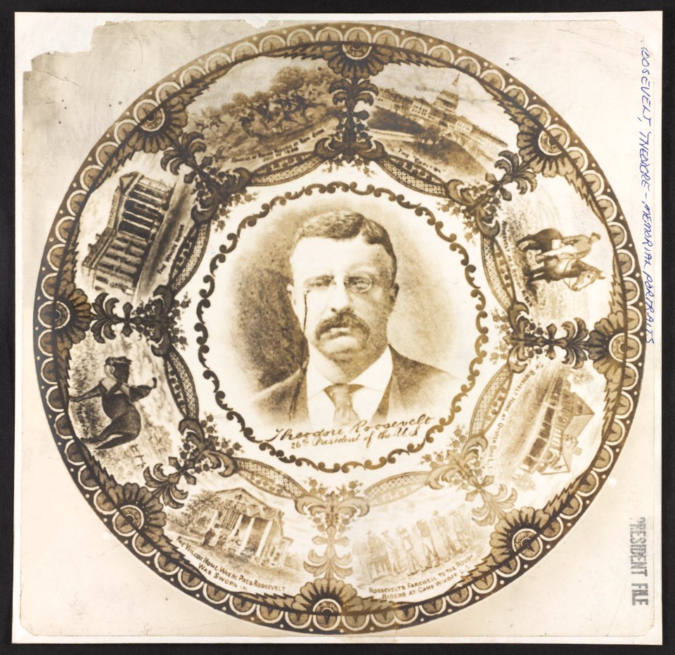 Theodore Roosevelt, 26th President of the U.S. LCCN2013651642