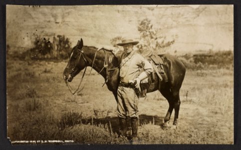 Theodore Roosevelt, full-length portrait, standing alongside horse, facing left; wearing cowboy outfit LCCN96512875