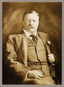 Theodore Roosevelt, half-length portrait, seated, facing right LCCN2013649820