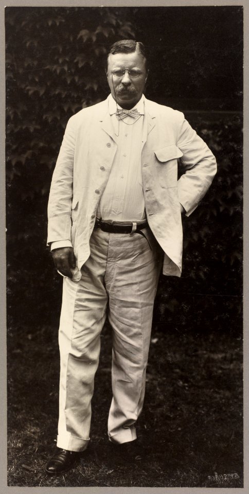 Theodore Roosevelt, full-length portrait, standing LCCN2009633124