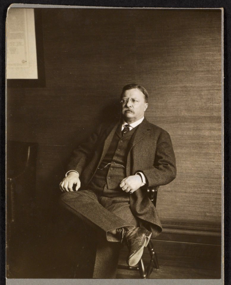 Theodore Roosevelt, full-length portrait, seated in chair LCCN2013651843