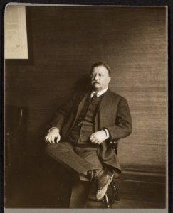 Theodore Roosevelt, full-length portrait, seated in chair LCCN2013651843