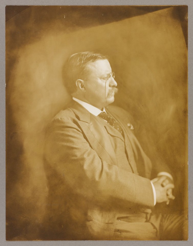 Theodore Roosevelt, half-length portrait, seated, turned right LCCN2013649825