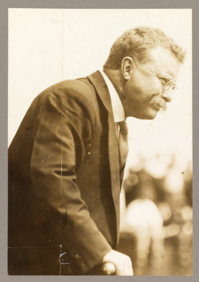 Theodore Roosevelt, half-length portrait, turned right LCCN2009631438