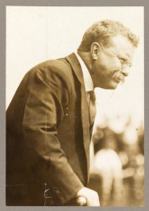 Theodore Roosevelt, half-length portrait, turned right LCCN2009631438