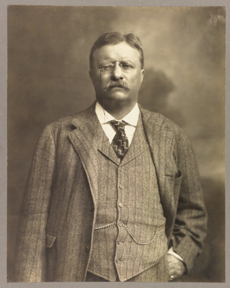 Theodore Roosevelt, half-length portrait, facing front LCCN2009655097