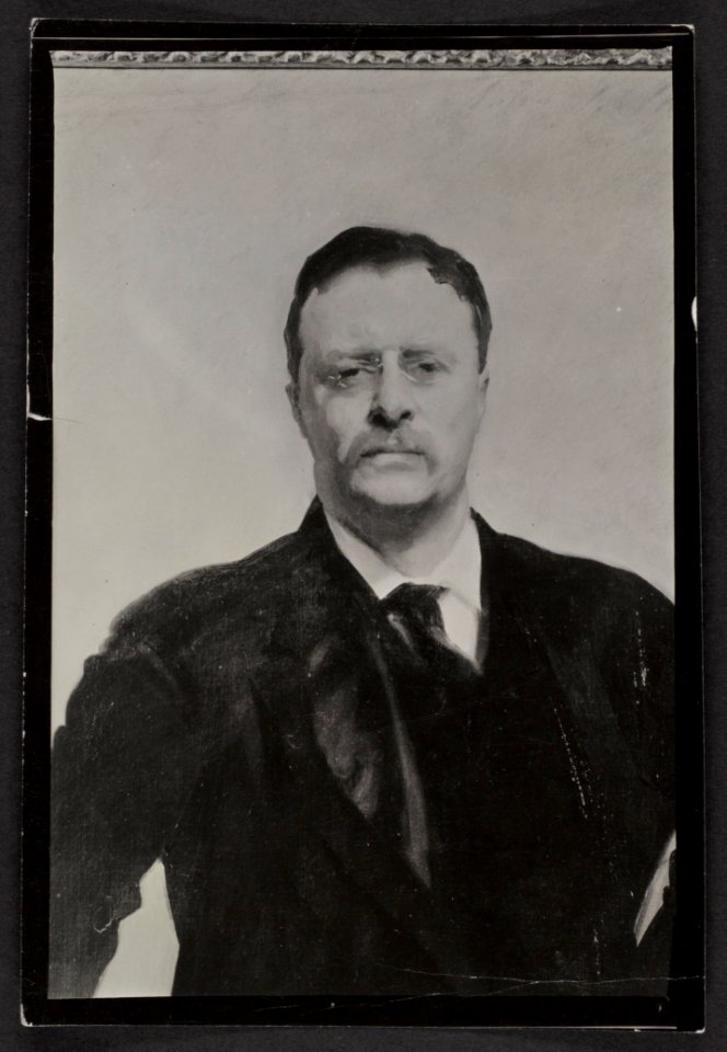 Theodore Roosevelt, half-length portrait, facing front LCCN2013649837