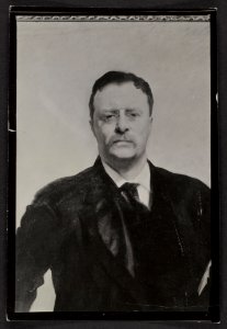 Theodore Roosevelt, half-length portrait, facing front LCCN2013649837