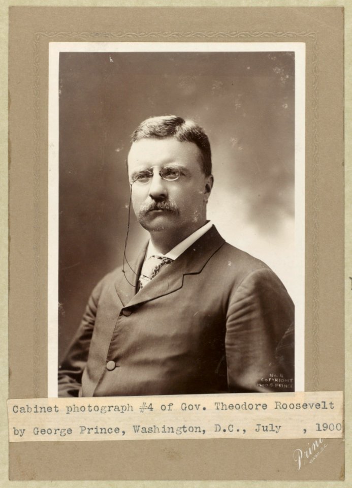 Theodore Roosevelt, half-length portrait, facing left LCCN89706853