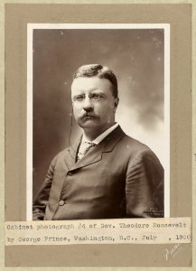 Theodore Roosevelt, half-length portrait, facing left LCCN89706853