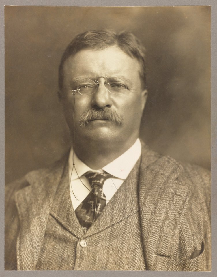 Theodore Roosevelt, head-and-shoulders portrait, facing front LCCN2009631447