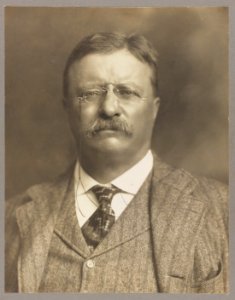 Theodore Roosevelt, head-and-shoulders portrait, facing front LCCN2009631447