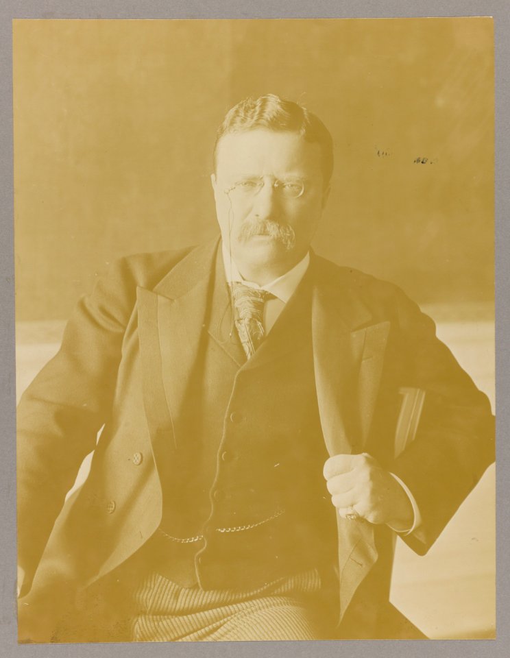 Theodore Roosevelt, half-length portrait, seated with arm over armchair, facing front LCCN2013649824