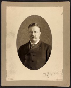 Theodore Roosevelt, half-length portrait, facing slightly left) - Pach Bros LCCN2013649812