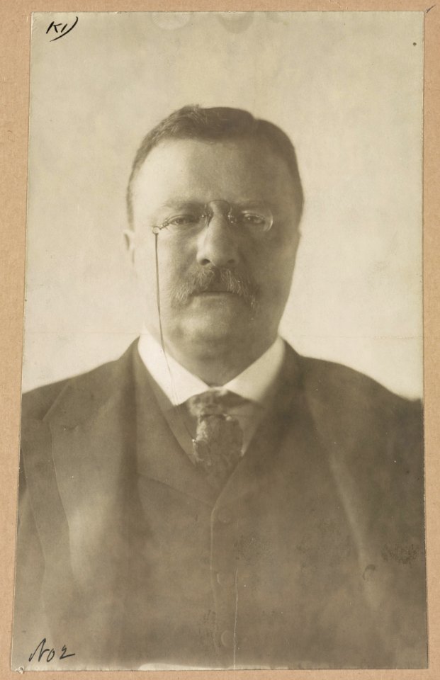Theodore Roosevelt, head-and-shoulders portrait, facing front LCCN2013649559