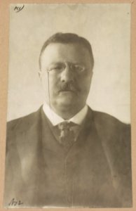 Theodore Roosevelt, head-and-shoulders portrait, facing front LCCN2013649559