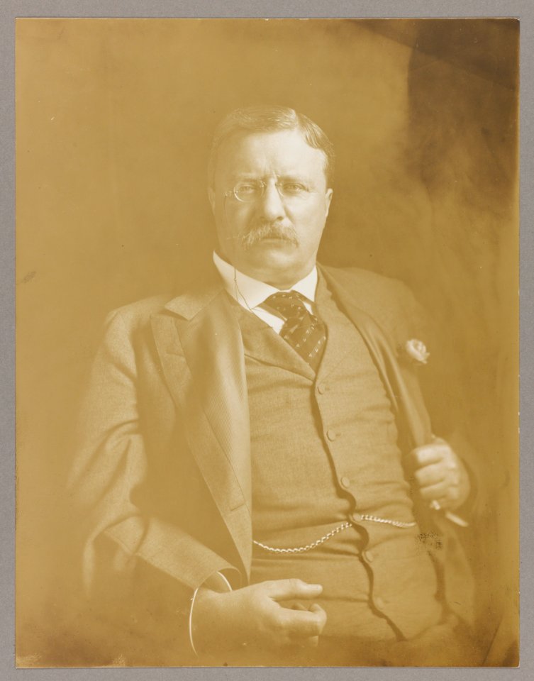 Theodore Roosevelt, half-length portrait, seated with one hand clutching his blazer, facing front LCCN2013649829