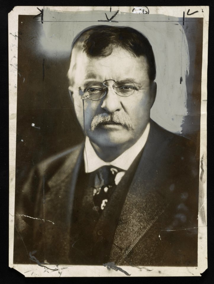 Theodore Roosevelt, head-and-shoulders portrait, facing front LCCN2013650903