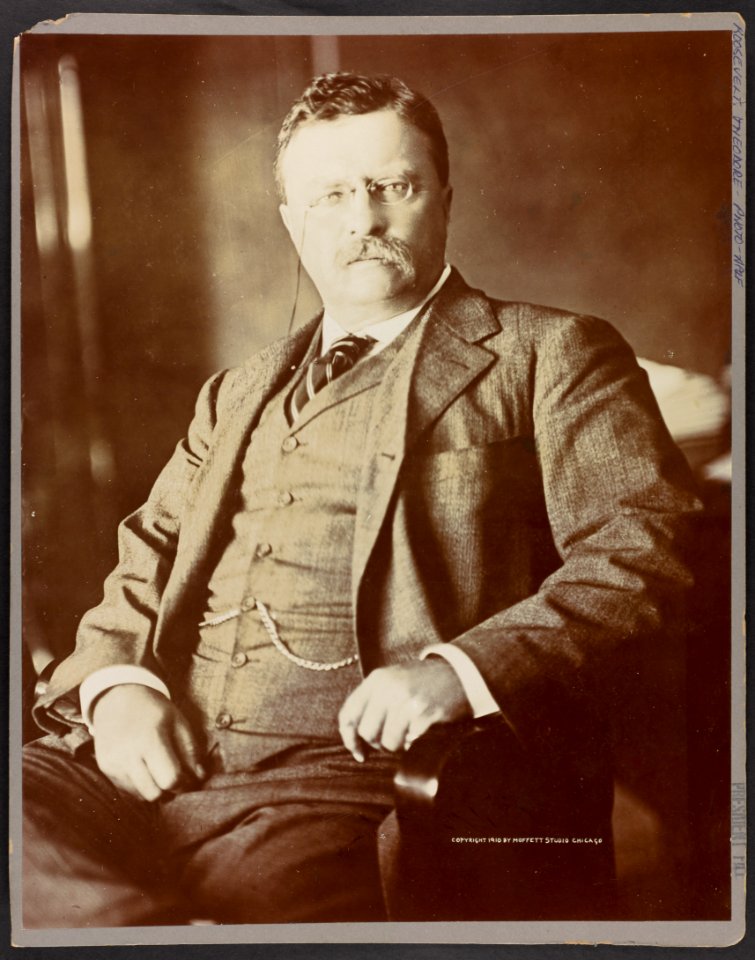 Theodore Roosevelt, half-length portrait, seated with one arm resting on armchair, facing front LCCN2013649830