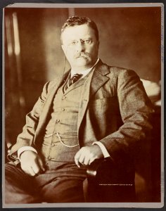 Theodore Roosevelt, half-length portrait, seated with one arm resting on armchair, facing front LCCN2013649830