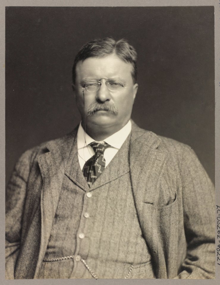 Theodore Roosevelt, half-length portrait, facing front LCCN2013649808