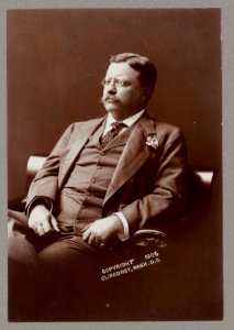 Theodore Roosevelt, half-length portrait, seated, facing left LCCN2009633166