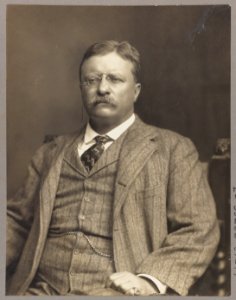 Theodore Roosevelt, half-length portrait, seated, facing slightly left LCCN2002715826