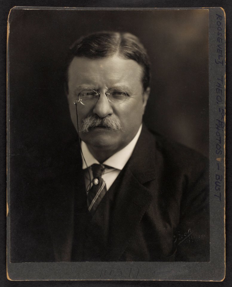 Theodore Roosevelt, head-and-shoulders portrait, facing front) - Pach Bros LCCN2001697088