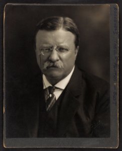 Theodore Roosevelt, head-and-shoulders portrait, facing front) - Pach Bros LCCN2001697088
