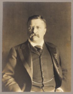 Theodore Roosevelt, half-length portrait, facing slightly left LCCN2013649822