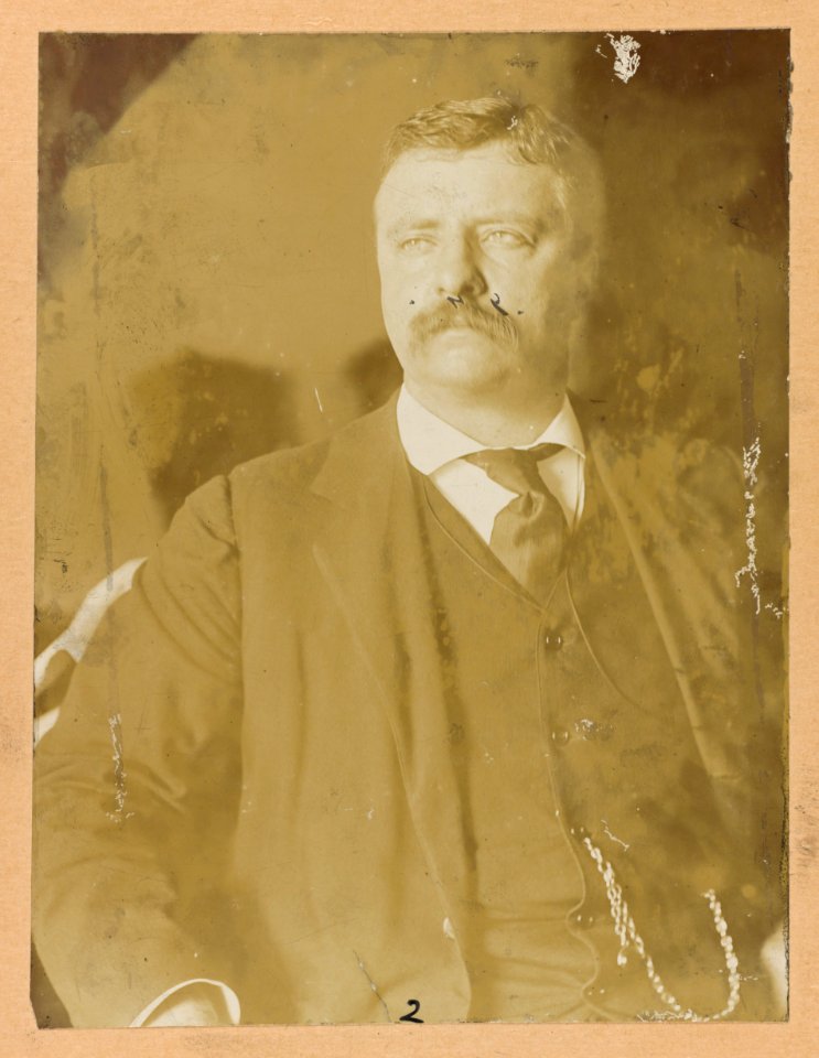 Theodore Roosevelt, half-length portrait, seated, looking left LCCN2013649554