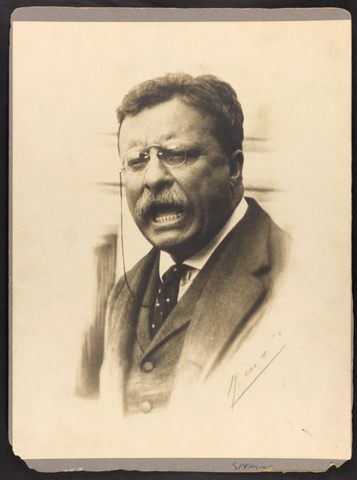 Theodore Roosevelt, head-and-shoulders portrait, facing front, speaking LCCN2009633786