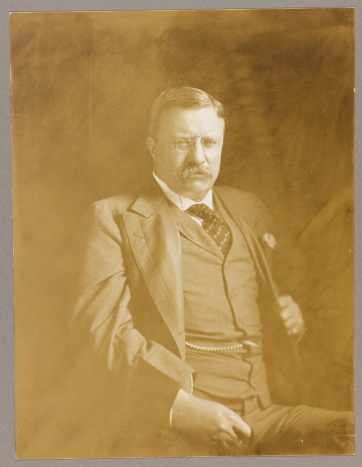 Theodore Roosevelt, half-length portrait, seated with hand clutching blazer, facing front LCCN2013649832