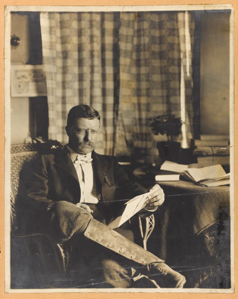 Theodore Roosevelt, full-length portrait, seated, reading LCCN2009631487
