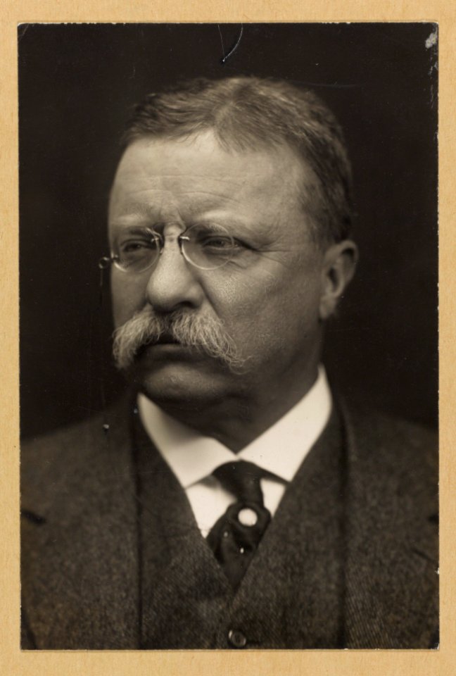 Theodore Roosevelt, head-and-shoulders portrait, facing left LCCN2013651184