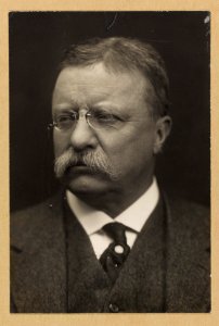 Theodore Roosevelt, head-and-shoulders portrait, facing left LCCN2013651184