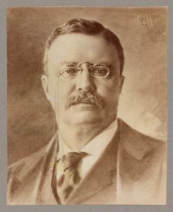 Theodore Roosevelt, head portrait, facing front LCCN2013649847