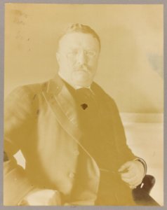 Theodore Roosevelt, half-length portrait, seated, facing front LCCN2013649823