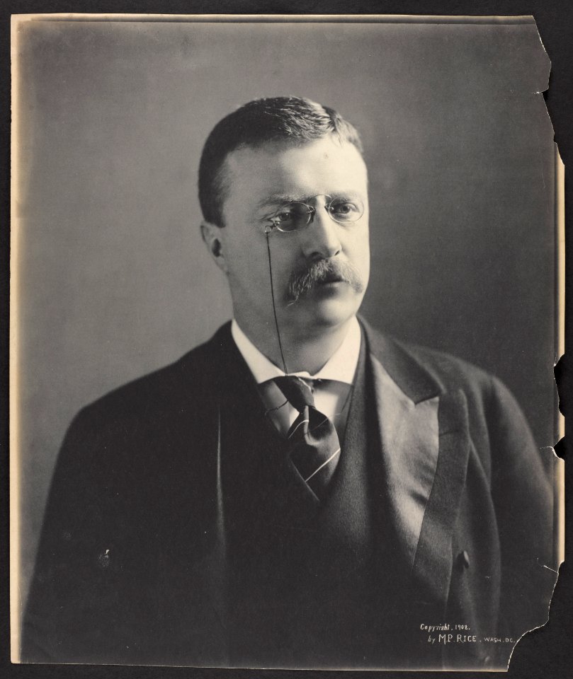 Theodore Roosevelt, head-and-shoulders portrait, facing front LCCN2001697255