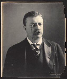 Theodore Roosevelt, head-and-shoulders portrait, facing front LCCN2001697255