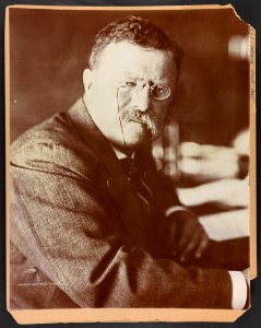 Theodore Roosevelt, head-and-shoulders portrait, facing right with head turned front LCCN2009633105