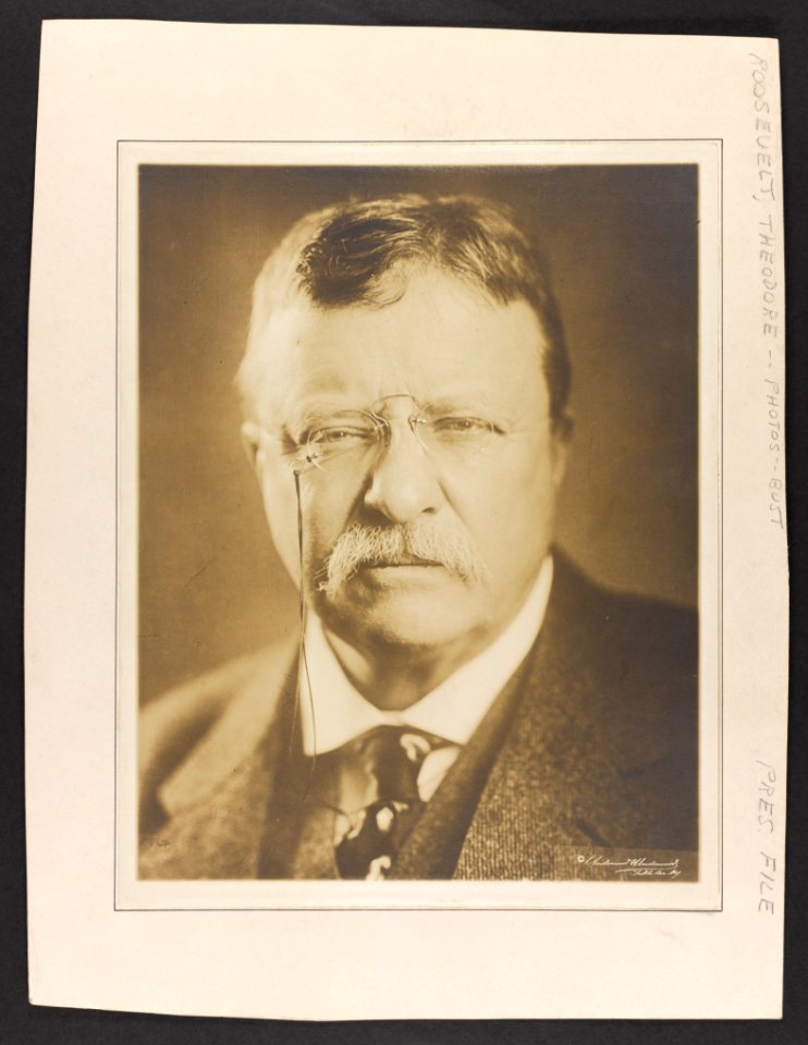 Theodore Roosevelt, head-and-shoulders portrait, facing front LCCN2013648189