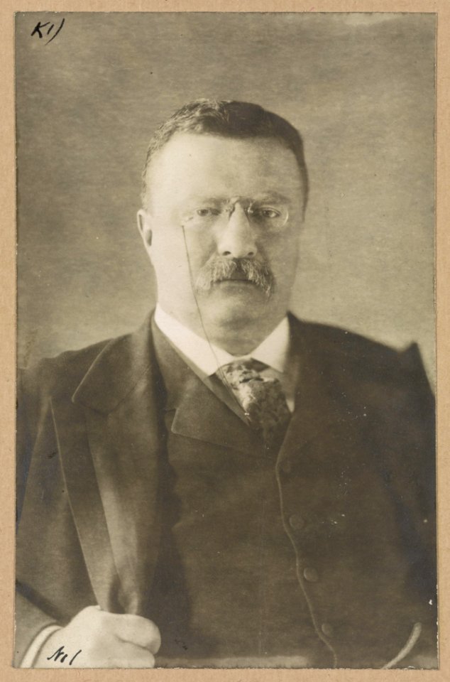 Theodore Roosevelt, head-and-shoulders portrait, facing front LCCN2013649558