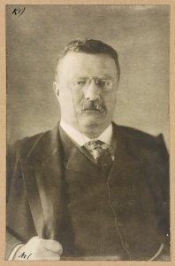Theodore Roosevelt, head-and-shoulders portrait, facing front LCCN2013649558