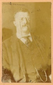 Theodore Roosevelt, half-length portrait, seated, facing slightly right LCCN2013649831