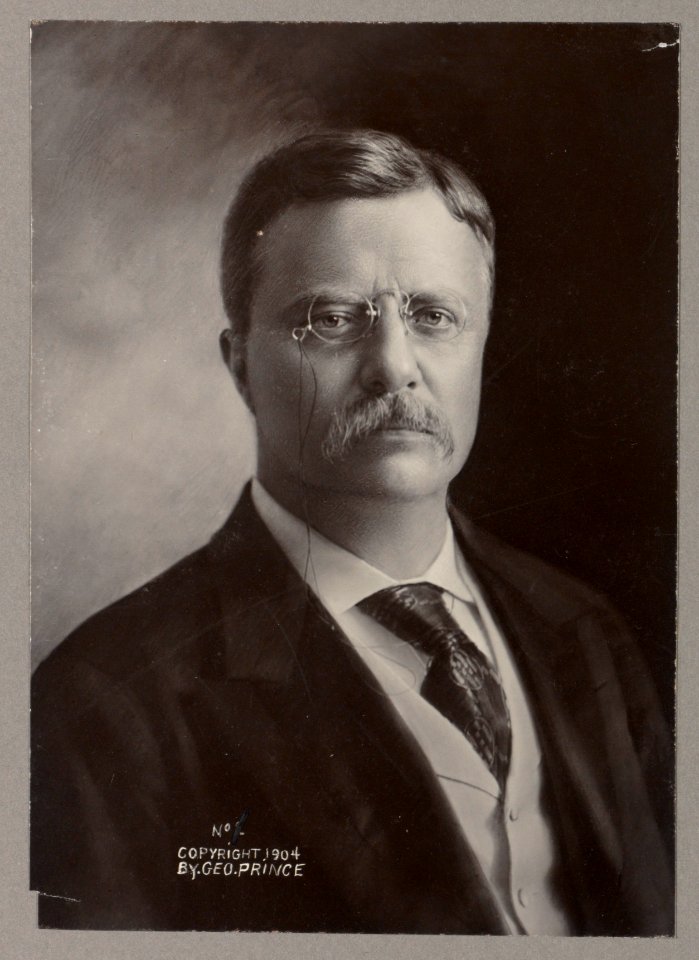 Theodore Roosevelt, head-and-shoulders portrait, facing front LCCN2013649833
