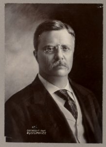 Theodore Roosevelt, head-and-shoulders portrait, facing front LCCN2013649833
