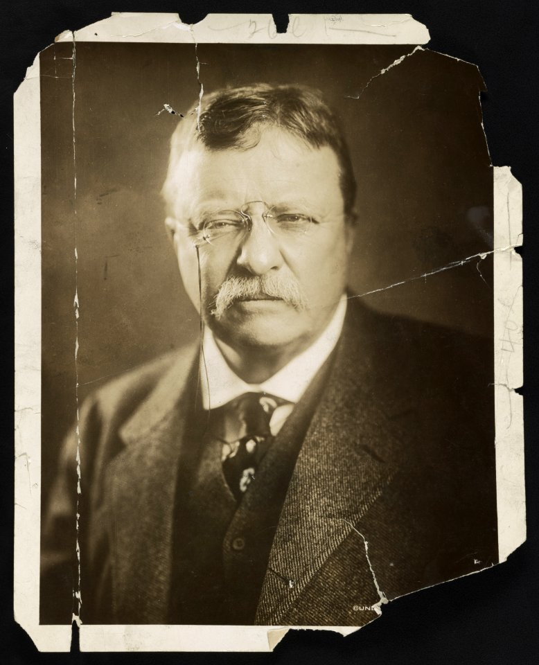 Theodore Roosevelt, head-and-shoulders portrait, facing front LCCN2013650899